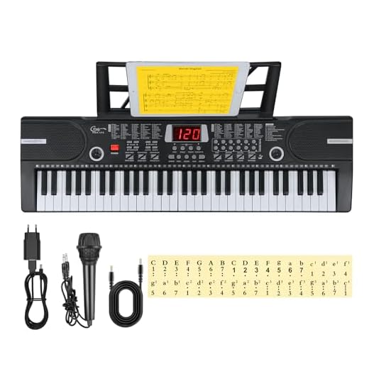 Hricane Teclado electrónico de 61 teclas para niños, el instrumento de piano electrónico portátil para principiantes con micrófono, atril, pegatina (negro)
