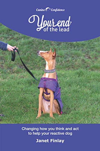 Your End of the Lead: Changing how you think and act to help your reactive dog