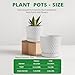 Docrin Ceramic Plant Pots Set of 2 (6.6