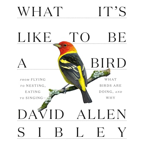 Amazon.com: The Birds That Audubon Missed: Discovery and Desire in
