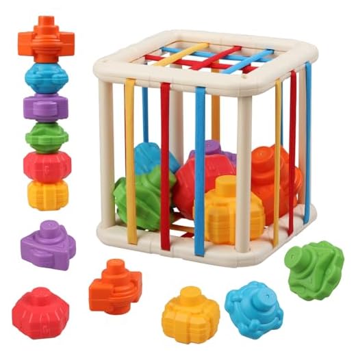 Baby Sensory Shape Sorter Blocks Toy - Activity Cube Bins - Montessori Educational Learning Fine Motor Skills Toys for Babies Toddlers 6 12 18 Months Age 1 2 3 One Two Year Old Boys Girls Gifts