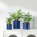 vancasso Ceramic Plant Pots, 4.25+5.25+6.25 Inch Planter Pot with Drainage Hole, Flower Pots for Indoor Outdoor Plants, Set of 3, Blue