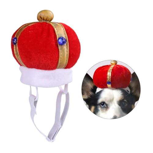 HOUDERCO ybgpNEXq  ߉\ȏ_炩f Lpwbhoh ht@j[ȃybgANZT[ p[eB[Be