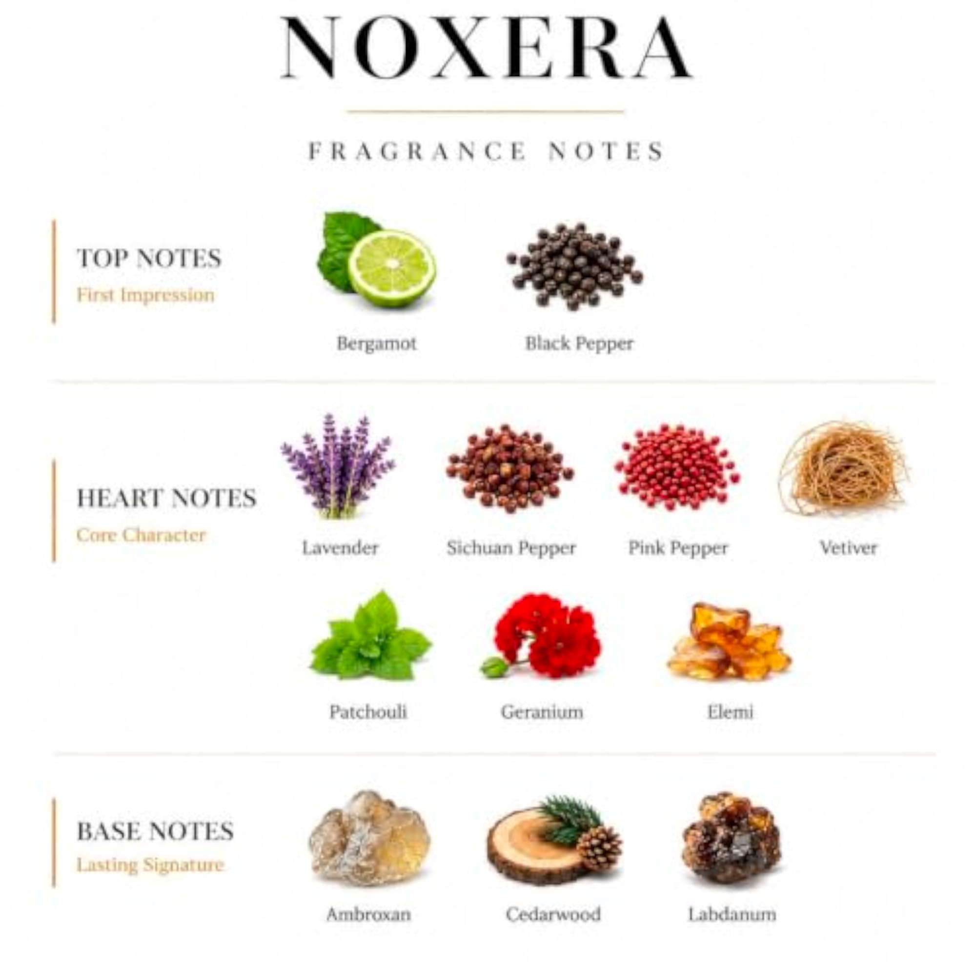 NOXERA Eau De Parfum for Men, Long Lasting Fresh Woody