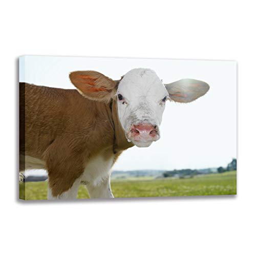 Poster de vache sur toile encadré 30x50 cm pour décoration murale