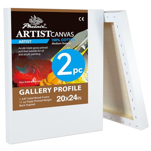 PHOENIX 20x24 Inch Gallery Canvas 2 Pack
