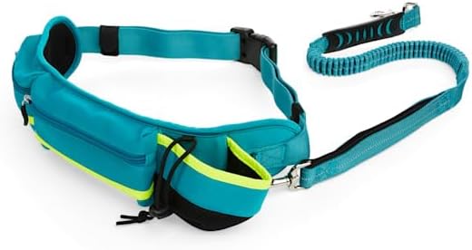 EveryYay by Petco Settin' the Pace Running Belt & Leash Set for Dogs Teal 34-in Long 1.5-in Wide