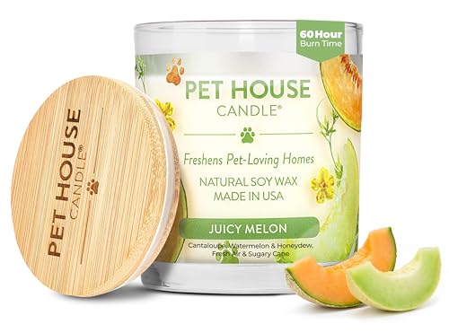 Juicy Melon Candle Pet Friendly Plant-Based Wax, Pet House