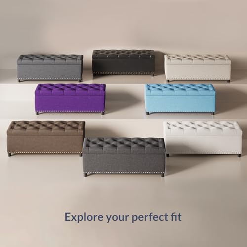 image for BELLEZE 47