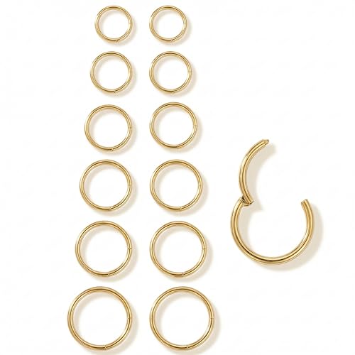 6Pairs Nose Rings Hoops - 316L Surgical Steel Hinged Nose Hoops 16G/18G/20G Clicker Septum Nose Ring Lip Helix Cartilage Hoop Earring Daith Rook Conch Body Piercing Jewelry for Women Men 6mm 7mm 8mm 9mm 10mm 12mm(Gold 18 gauge(1mm))
