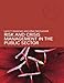 Risk and Crisis Management in the Public Sector (Routledge Masters in Public Management)