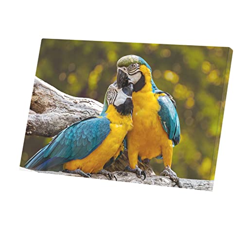 Toile imprimée oiseaux exotiques tableau couple perroquets 45x30