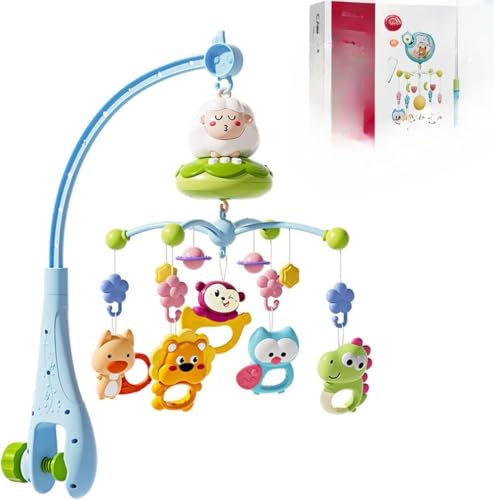 Citybaby xbh[ IS[ 0-1 Ԃ ]KK[ 360x] yI` V  ʒ߉\ mߋ cpQ ȒPɖ oYj j̎q ̎q 蕨 a v[ Rt (A)