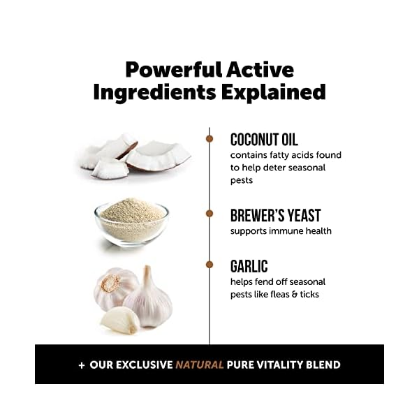 Pet-Honesty-Flea-Tick-Support-Supplement-Flea-and-Tick-Soft-Chew-for-Dogs-No-Harsh-Chemicals-Natural-Way-to-Enjoy-The-Outdoors-Hickory-Bacon-90-Count Pet-Honesty-Flea-Tick-Support-Supplement-Flea-and-Tick-Soft-Chew-for-Dogs-No-Harsh-Chemicals-Natural-Way-to-Enjoy-The-Outdoors-Hickory-Bacon-90-Count