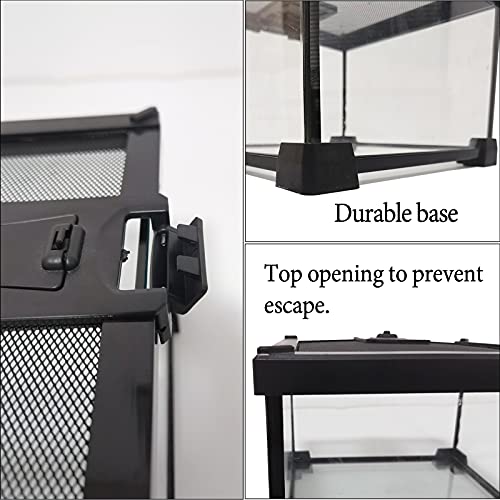 Kathson Mini Reptile Glass Terrarium Tank, Transparent Full View Amphibians Breeding Box Appealing Mini Reptiles Enclosure Cage 7.9" X 7.9"X 5.7" #TOP4