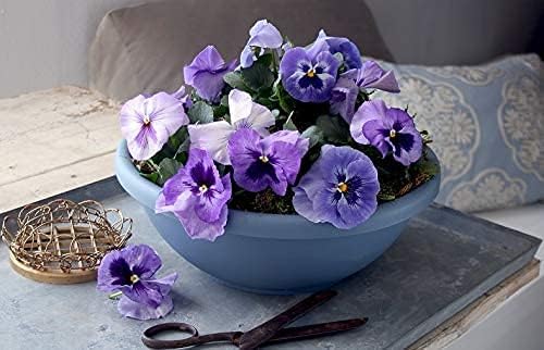 Miniatura 3 de The HC Companies Maceta de jardín de 15.5 pulgadas, maceta poco profunda con tapón de drenaje para flores de interior y exterior, hierbas, chocolate