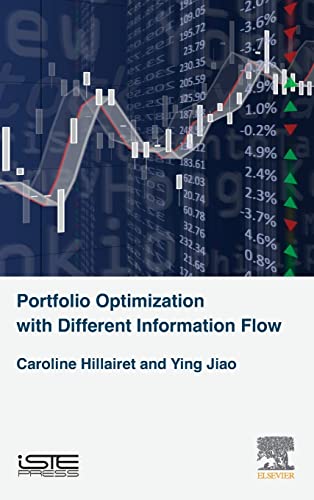 Portfolio Optimization With Different Information Flow view 2