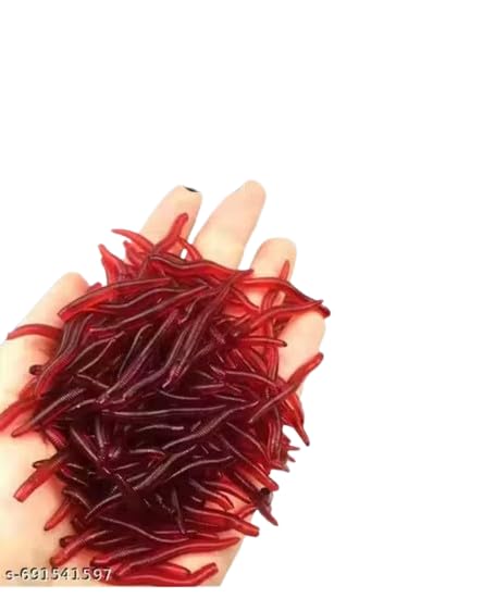 Fishing Soft Silicone Rubber Red Worms 100 Pcs Pack | Artificial Fishing Bait Lure for Freshwater & Saltwater Fishing | Soft Worms for Hunting & Fish Catching-picture-27