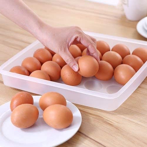 Image of RIOMAX 24 Grid Egg Storage Box Egg Refrigerator Storage Tray, Stackable Plastic Egg Containers for Fridge Kitchen (24 Grid Storage, Pack of 1)