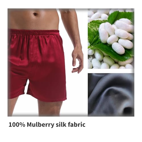 HOUDE Men's 100% mulberry silk boxer briefs,breathable,silky smooth, comfortable and luxurious,2
