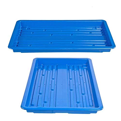 Dream Nursery Hydroponics Tray (Blue) HYDROPONICS Germination Plastic Tray for Fodder Maize Wheatgrass/microgreens Tray - Pack of 10