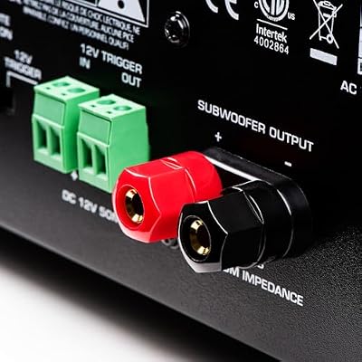 OSD Black 300W Subwoofer Amplifier, 4-ohm Stable, Class AB - Auto-Sensing - BK-SAM300