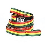 Eagles Nest Outfitters ENO Atlas Chroma Straps, Hammock Suspension Straps, Rasta