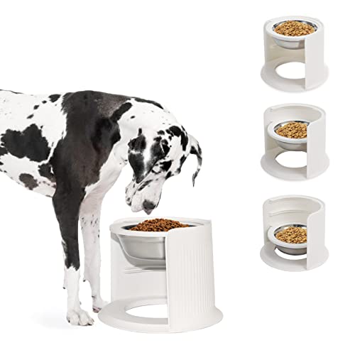 Protect Your Pup's Plate Top 10 Dog Food Guarding Products Reviewed