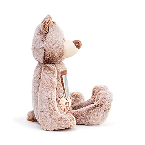 DEMDACO Here to Hug Photo Natural Brown 12 inch Plush Polyester Stuffed Animal Bear - Image 6