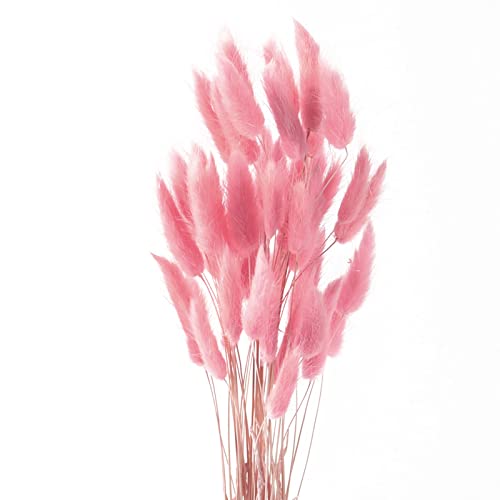 Diyxisk Hierba de la Pampa,50 Pcs Flores Secas Naturales Decoración,Flores Preservadas Adecuado para Jarrón Mesa de Boda Habitación Decoración del Hogar Accesorios Sala de Estar(Rosa)