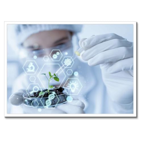 Poster biologie 70x50 cm grand format encadré thème école