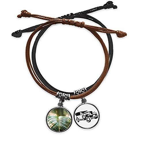 Plante à feuilles vert pâle bracelet corde cuir photo nature