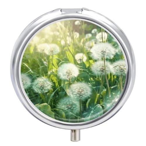 Dandelions on The Grass �s���{�b�N�X 3�R���p�[�g�����g �� �s���P�[�X �|�[�^�u�� ���E���h �s���{�b�N�X �s���R���e�i �z���_�[ �r�^�~�� ���� ���� �� �I�[�K�i�C�U�[