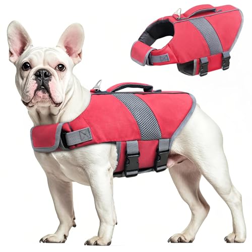 Oslueidy Chaleco Salvavidas para Perros Chaleco Salvavidas para Tiburones de Alta Flotabilidad Chaleco Salvavidas para Perros Chaleco Seguridad Bote Natación Kayak Surf Bañador (Rot, XS)