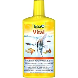 Tetra Vital – fördert Vitalität, Wohlbefinden und Farbpracht bei Fischen, ergänzt lebenswichtige Vitamine und Mineralstoffe, 500 ml Flasche