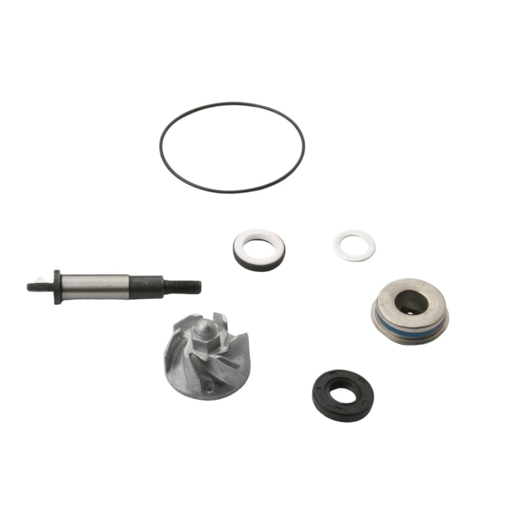 Kit di riparazione pompa acqua compatibile con SH 300 Forza 300 NSS300 SH NSS Scoopy 300i 100110520