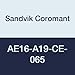 Sandvik Coromant AE16-A19-CE-065 Carbide Cylindrical Holder for Exchangeable-Head, 1 Number of Flutes, 6.5" Length, 6.5" Cutting Diameter (Pack of 1)