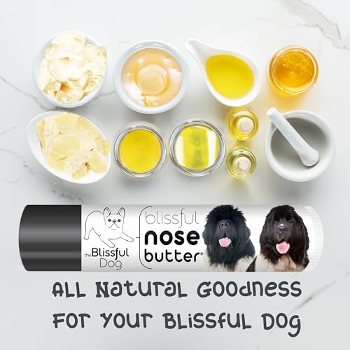 Image of The Blissful Dog Landseer Newfoundland Nose Butter