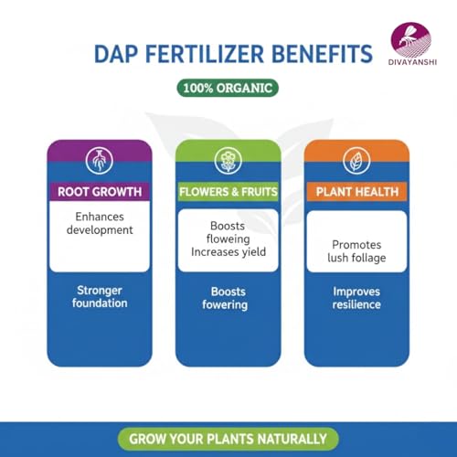 Image of Divayanshi Organic DAP for Plants | Phosphorus-Rich Plant Nutrition for Strong Roots, Faster Growth & Higher Yield | Suitable for Garden, Pots & Farming- 1.5 KG
