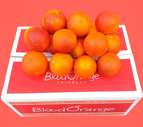�y�u���b�h�I�����W�z���Y ���Q���T.�Okg�i�G�i�j�`�C�^���A/�V�`���A�������Y�̔Z���ȍ�������ƒ�Ł` Blood Orange