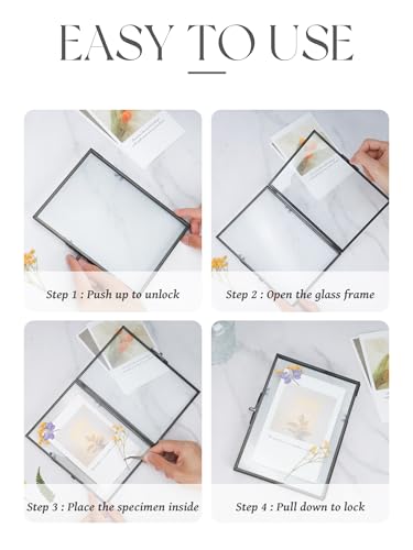 REDHUGO Gepresste Blumenrahmen, Glas-Schwebeframe zur Anzeige von getrockneten Pflanzenspezimenbildern… – Ansicht 6