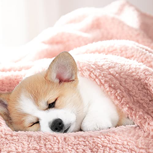 Bertte Sherpa Fleece Baby Blanket | Plush Swaddle Receiving Blankets Super Soft Warm Lightweight Breathable For Infant Toddler Crib Stroller - 33"X43" Large, Pink, Sherpa - Pink #TOP4