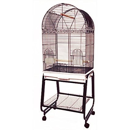 Amazon.com: Kings Cages: Medium Bird Cages