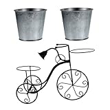 Jardinière en forme de vélo : pour contenir des plantes succulentes ou des cactus, tendance et chic, support pour pots de fleurs