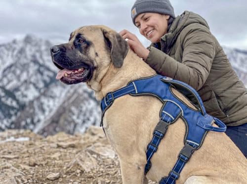 Image of Tuff Pupper Updated for 2022 - Tracker No Escape Dog Harness | Dual Escape Proof Leash Attachments | 5 Point Adjustable Fit Harness for Dogs | Padded Dog Harness for Comfort | Handle Dog Lift Harness