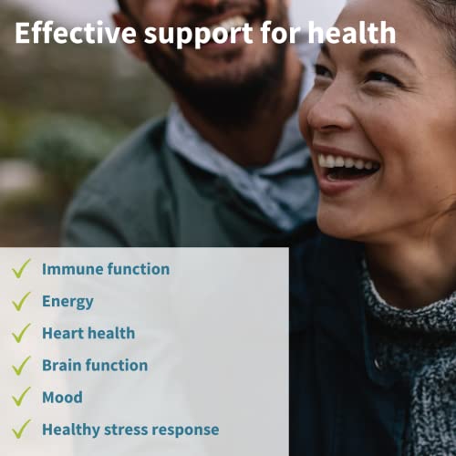 Super B-Complex + Liposomal Vitamin C 1000Mg & Zinc Vegan Bundle, Methylated Sustained Release B Complex & High Absorption Liquid Immune Support Complex, By Igennus #TOP3