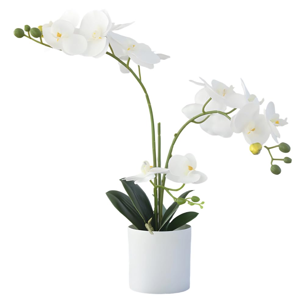 Jonuin Artificial Orchid Flowers in Pots, Artificial Orchid, Realistic Fake Orchids, Faux Orchid Plant, Film Orchid Phalaenopsis for Indoor Home Office Wedding Decor, Table Centerpieces (White)