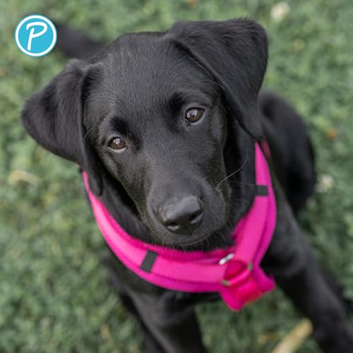 Petlando Hundegeschirr mittelgroße Hunde Mesh Y-Comfort, luftdurchlässig, weich gepolstert, stufenlos verstellbar Fuchsia M (Halsumfang 46-74 cm, Brustumfang 50-74 cm), Hunde Geschirr mittel