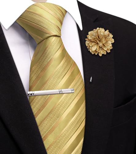 Image of Hi-Tie 63 inches Striped Paisley Extra Long Ties for Men Silk Necktie with Lapel Pin Tie Clip Big and Tall Men Formal Wedding