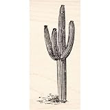 Saguaro Cactus Medium Rubber Stamp
